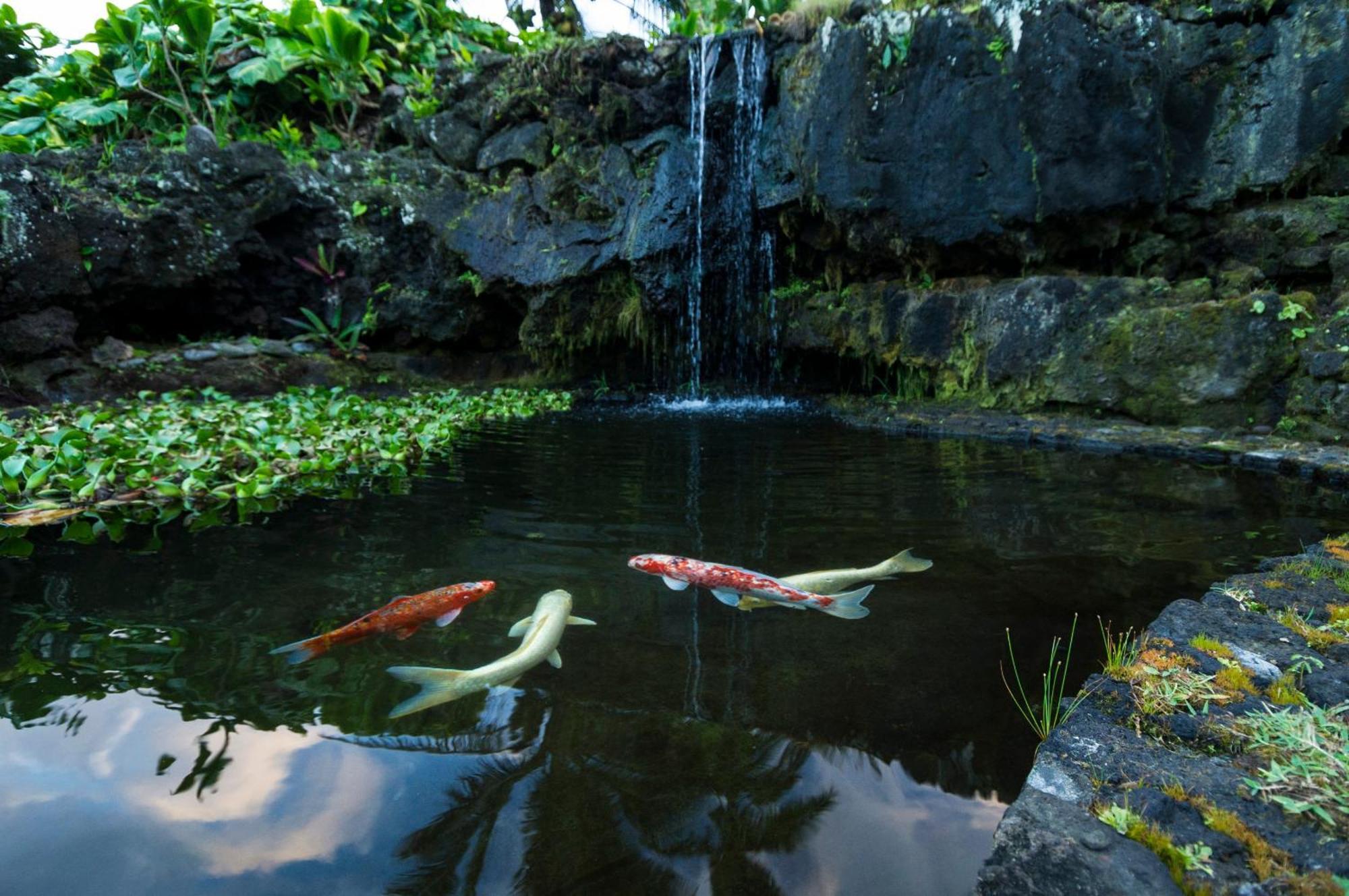 Hana Kai Maui - #201 Honokalani - Oceanview 1 Br Eksteriør billede